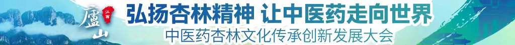 大鸡吧肏嫩嫫视频中医药杏林文化传承创新发展大会